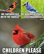 Image result for St. Louis Cardinals Meme