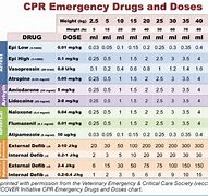 Image result for Recover CPR Vet Med