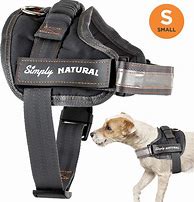 Image result for Escape Proof Dog Harness