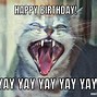 Image result for Happy Birthday Kitten Meme