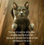 Image result for Cute Cats with Quotes