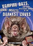 Image result for Vampire Bat Cave