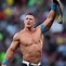 Image result for John Cena Facceapp