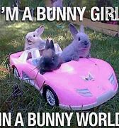 Image result for Cute Funny Animal Puns