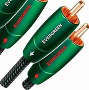 Image result for SVS Subwoofer RCA Cable