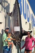 World's Largest Swordfish 的圖像結果
