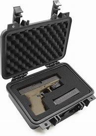 Image result for 6 Pistol Gun Case