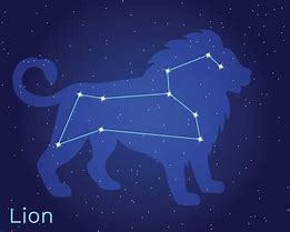Image result for Star Lion Art