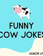 Image result for Cow Dad Jokes