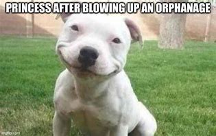 Image result for Smiling Pitbull Meme
