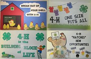 Image result for 4-H Poster Ideas for Kids