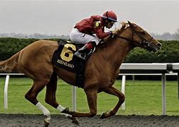 Image result for Picture of Horse Racing