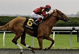 Image result for Race Horse Esky