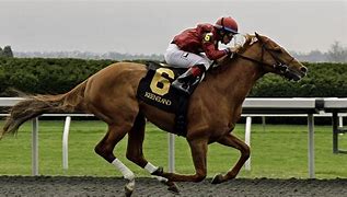 Image result for Decorative Race Horse