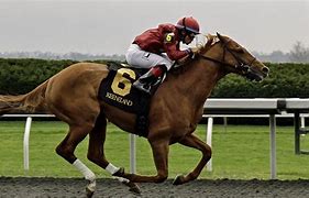 Image result for Horse racing