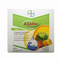 Image result for alifate
