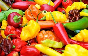 Image result for hot peppers