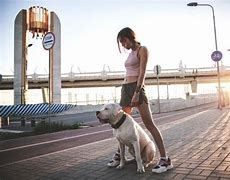 Image result for Jogging with Dog