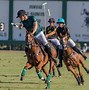 Image result for Prince Harry On Polo Field