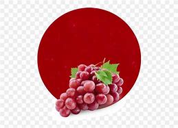 Image result for Common Grape Diseases