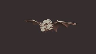 Image result for 3D Bat Stylized