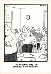 Image result for The Far Side My Brain Is Full