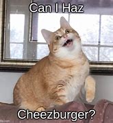 Image result for I Can Haz Cheezburger Template