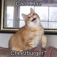 Image result for Can I Has Cheezburger Cold Cat Memes