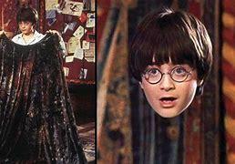 Image result for Harry Potter Invisibility Cloak Real