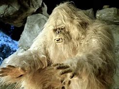 Image result for Yeti Abominable Snowman Face