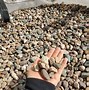 Image result for Decorative Stone Pebbles
