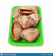Image result for Raw Clams