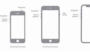 Image result for iPhone 15 Side by Side