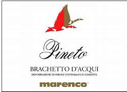 Image result for Marenco Brachetto d'Acqui Pineto