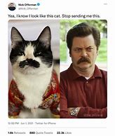Image result for Meow Cat Meme