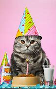 Image result for Grumpy Cat Happy Birthdat