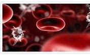 Image result for bacteriemia