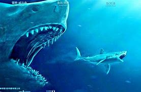 Image result for The Meg Shark