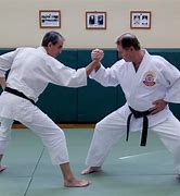 Image result for Tradicional Judo Kodokan