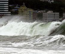 Image result for Busan Typhoon