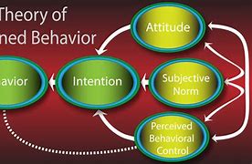 Image result for What Drives Human Behavior