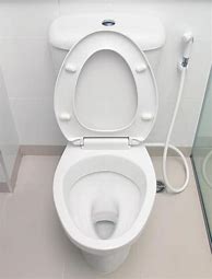 Image result for Toilet/Shower