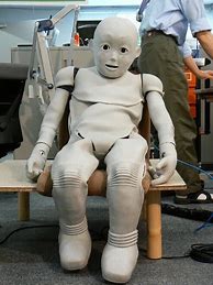 Image result for CB2 Robot