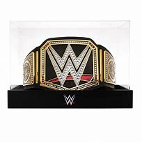 Image result for WWE Cases