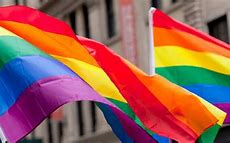 Image result for LGBT Ally Flag