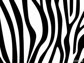 Image result for Stripes Drawing