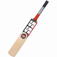 Image result for SS Cricket Bat Profile