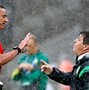 Image result for Mexico vs Cameroon