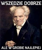 Image result for Schopenhauer Memy