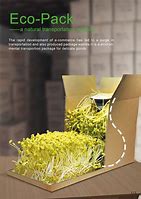 Image result for Eco Packaging พิซซ่า